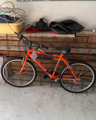 Bicilcetta