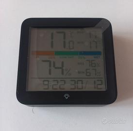 Termometro portatile