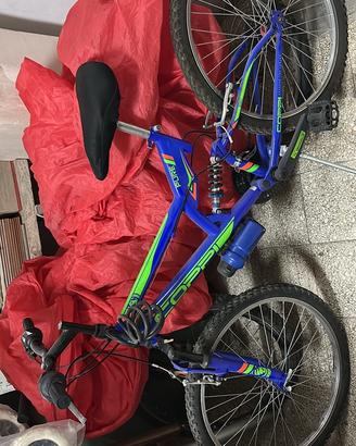 Bici usate