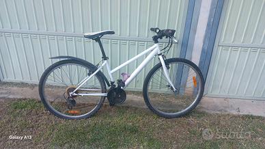 bicicletta