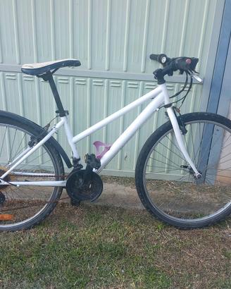 bicicletta