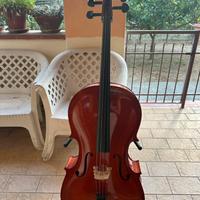 Violoncello 3/4 con custodia e accessori - 200€