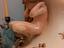 Immagine 2