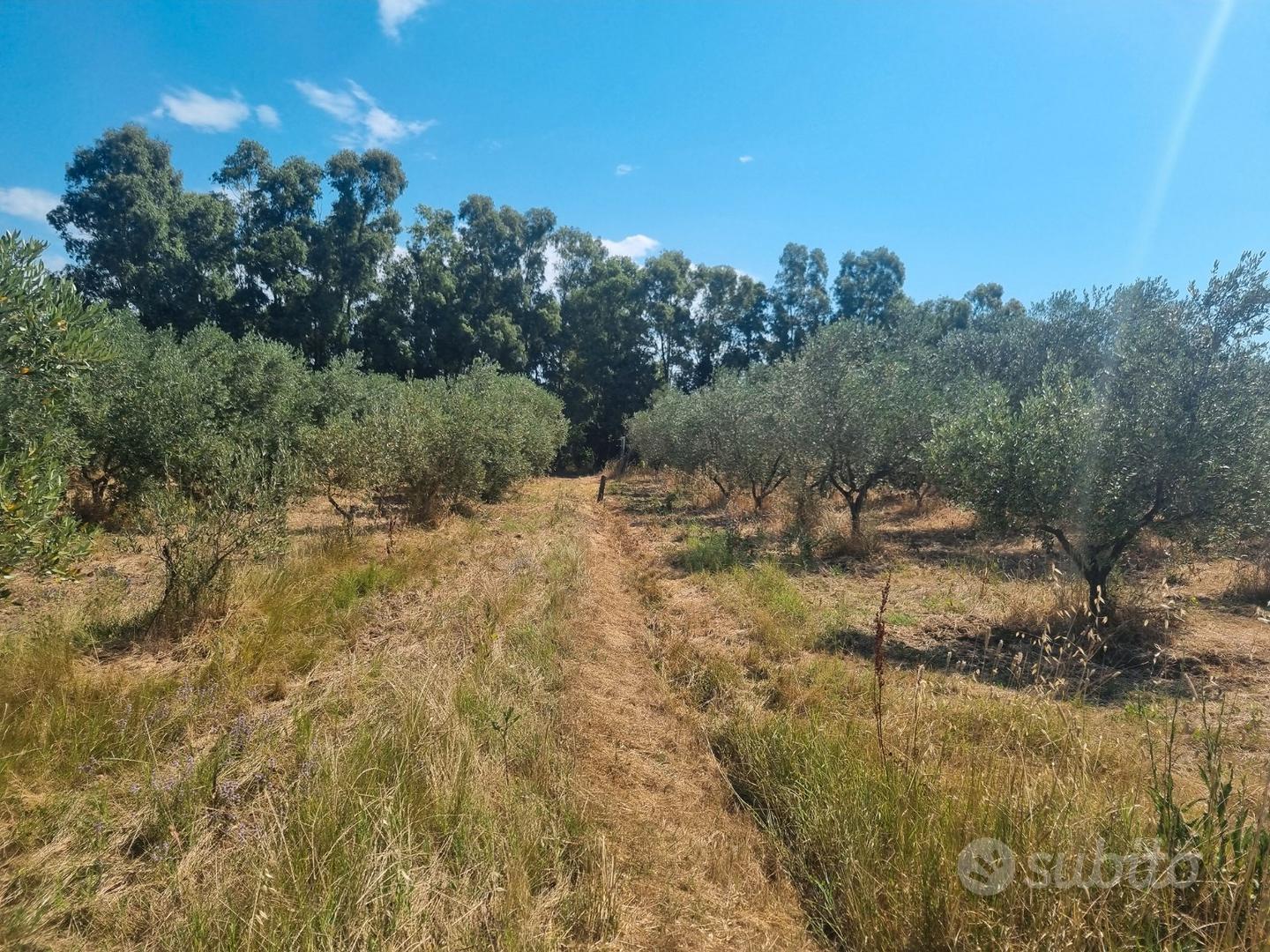 Terreno agricolo Loc Carbonifera - Altro