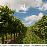 Terreni agricoli a Cermes