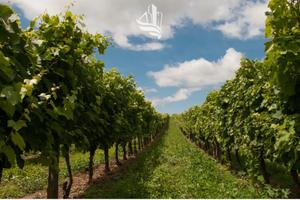 Terreni agricoli a Cermes