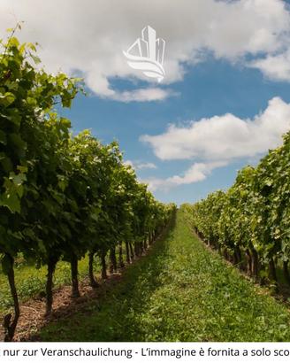 Terreni agricoli a Cermes