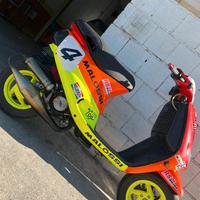 Zip sp ufficiale malossi