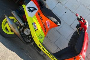 Zip sp ufficiale malossi