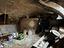 Immagine 18