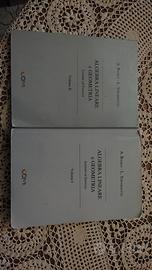 libri universitari, Geometria e algebra lineare 