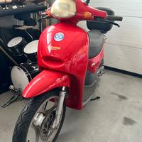 Cagiva cucciolo