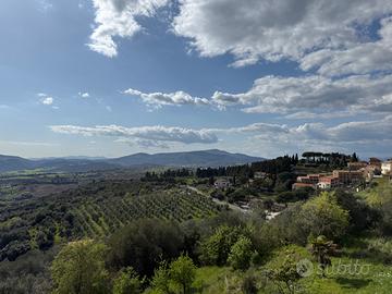 Quadrilocale a campagnatico