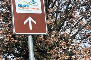 Campeggio/garden sharing