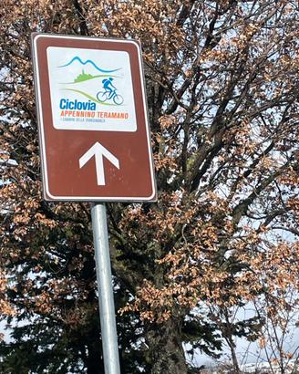 Campeggio/garden sharing