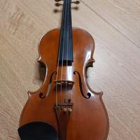 Violino