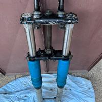 Gruppo forcelle complete di perno ruota
