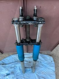 Gruppo forcelle complete di perno ruota