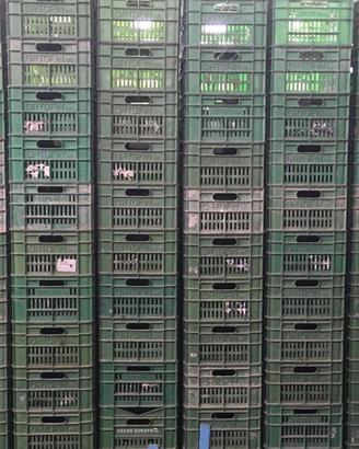 Cassette in plastica per ortofrutta