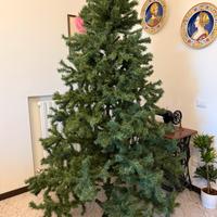 Albero di natale