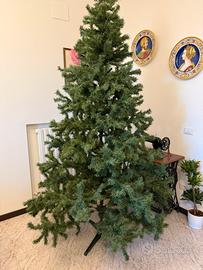 Albero di natale