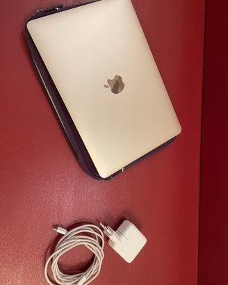Apple MacBook 12 pollici display Retina (A1534)