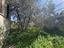 Immagine 16