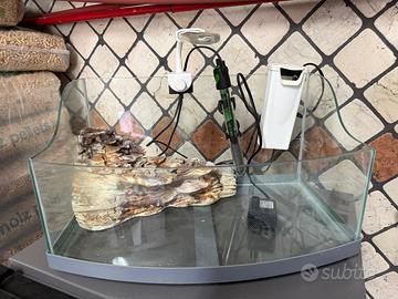 Acquario per tartarughe d'acqua