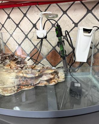 Acquario per tartarughe d'acqua