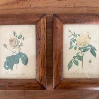 Coppia di Quadretti con Rose