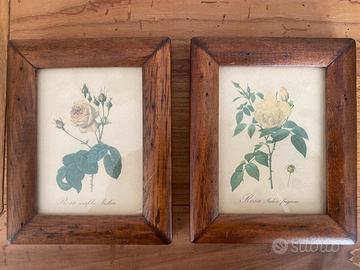 Coppia di Quadretti con Rose