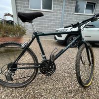 Mountain bike uomo