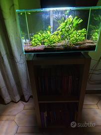 Acquario completo e funzionante –FLUVAL EDGE 23 L