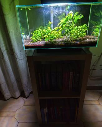 Acquario completo e funzionante –FLUVAL EDGE 23 L