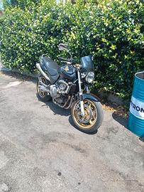 Hornet 600