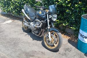 Hornet 600