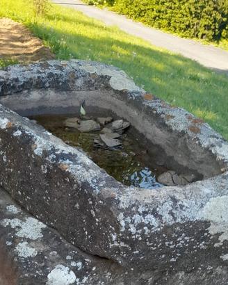 Abbeveratoio antico in pietra di langa