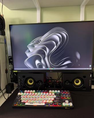 Lg ultragear nano ips