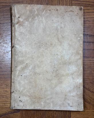 Libro antico Musæ Lapidariæ in Marmoribus Carmina