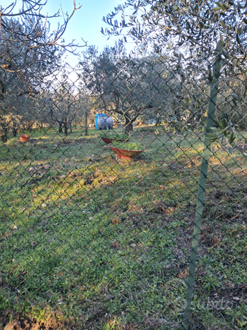 Terreno colline villa caruso