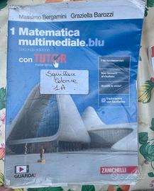 Matematica multimediale . blu 1