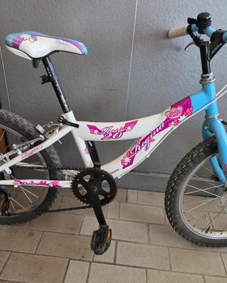 bicicletta raggio 20