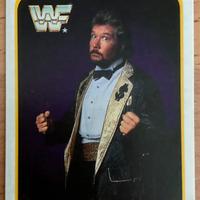 Merlin Trading Cards Wrestling WWF 1991 Italia