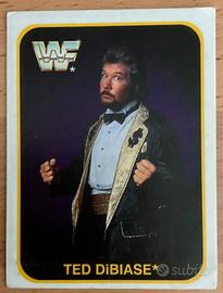 Merlin Trading Cards Wrestling WWF 1991 Italia