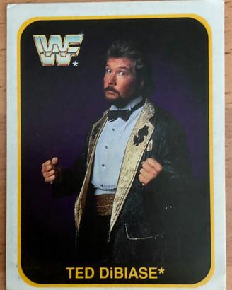 Merlin Trading Cards Wrestling WWF 1991 Italia