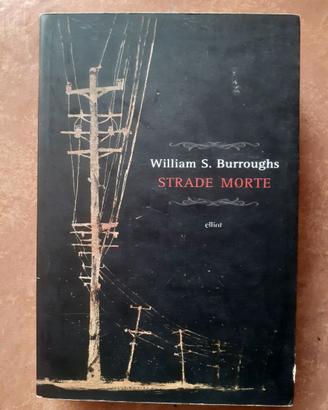 William Burroughs Strade morte romanzo libro