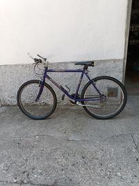 Rampichino 