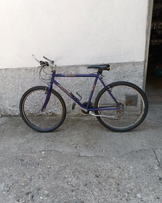 Rampichino 