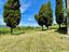 Immagine 14
