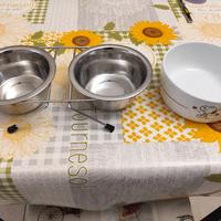 Ciotola x cani e gatti 